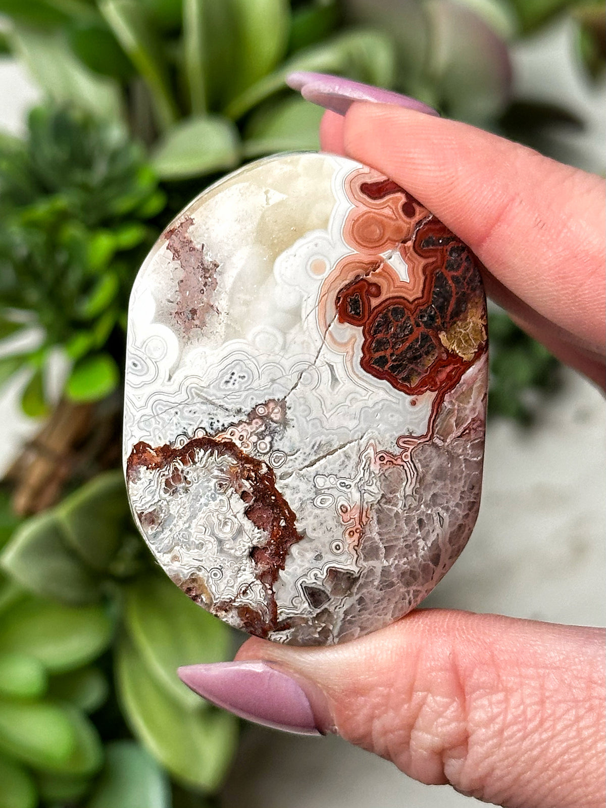 Crazy Lace Agate Palmstone - #11