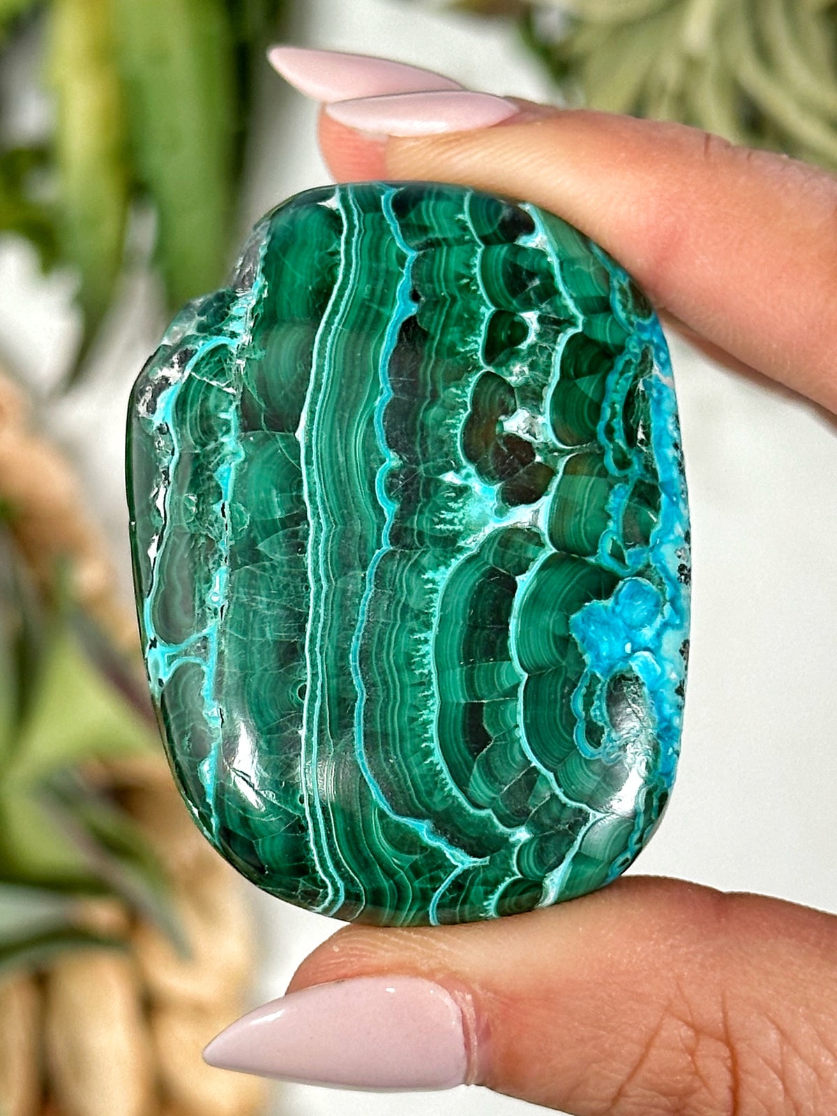 Chrysocolla Malachite Palmstone - #3