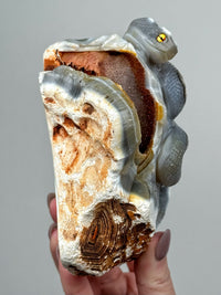 Orca Agate Snake - #1