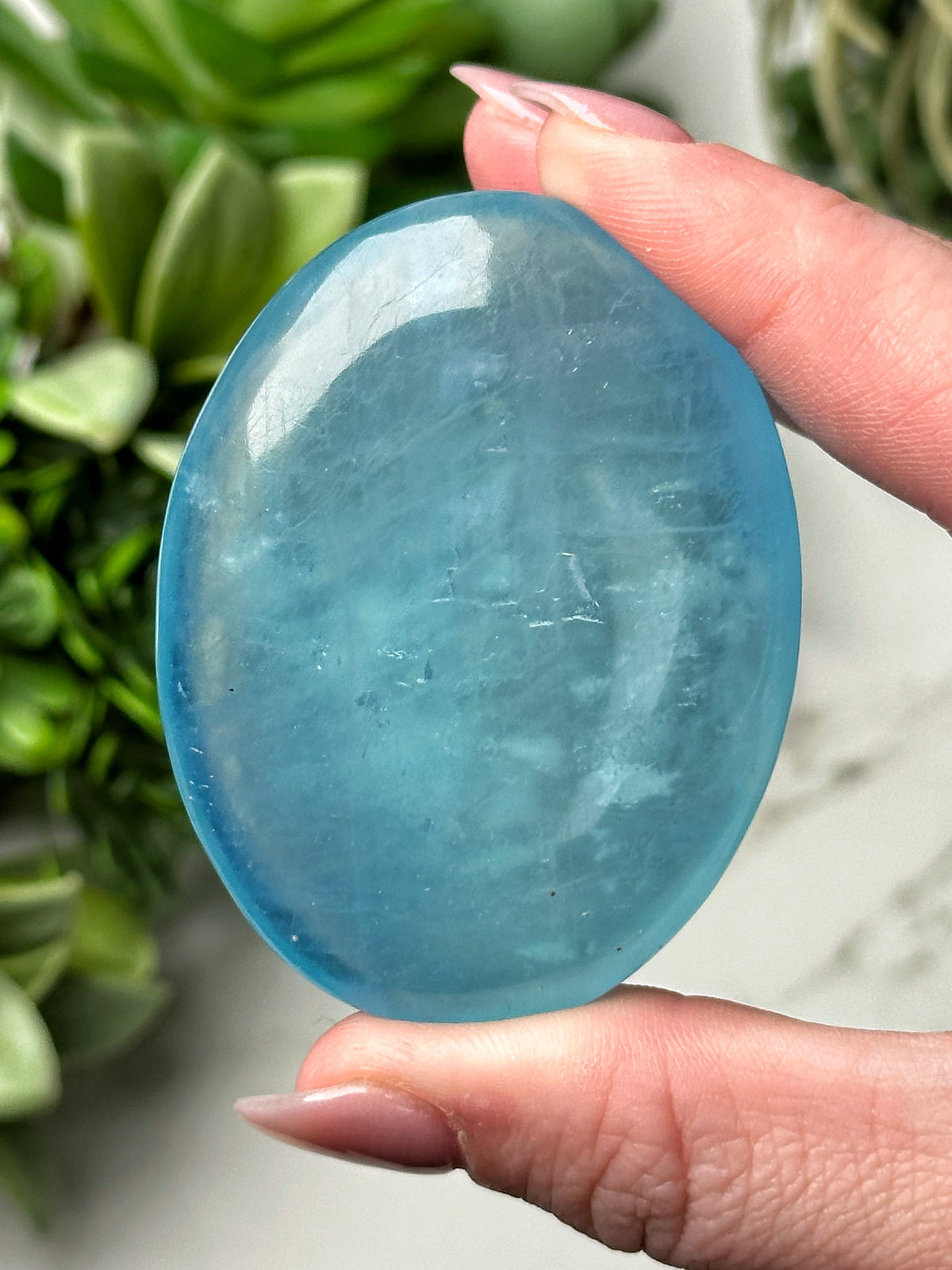 Aquamarine Palmstone - #6