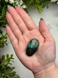 Blue Opalized Petrified Wood Palmstone - #14