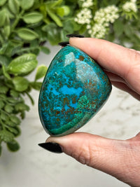 Chrysocolla Freeform - #21
