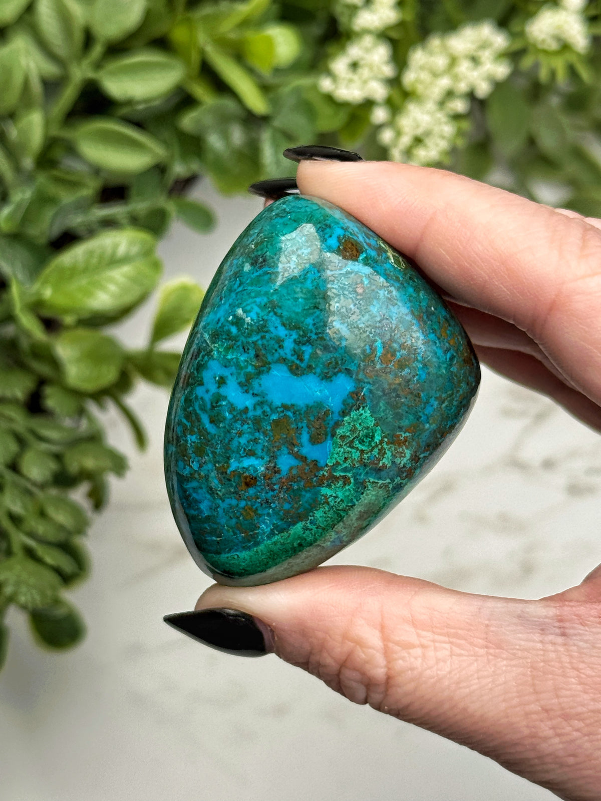 Chrysocolla Freeform - #21