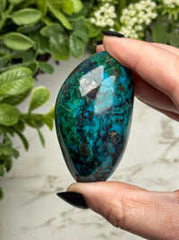Chrysocolla Freeform - #24