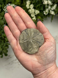 Pyrite Sun - #12