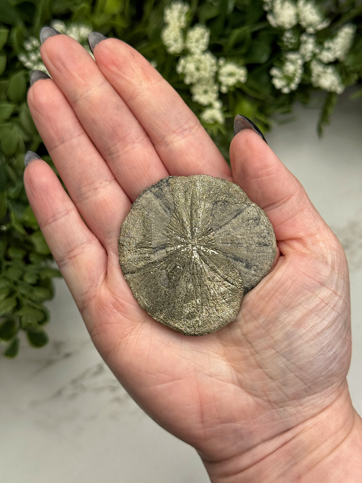 Pyrite Sun - #12
