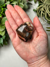 Petrified Wood Heart - #17