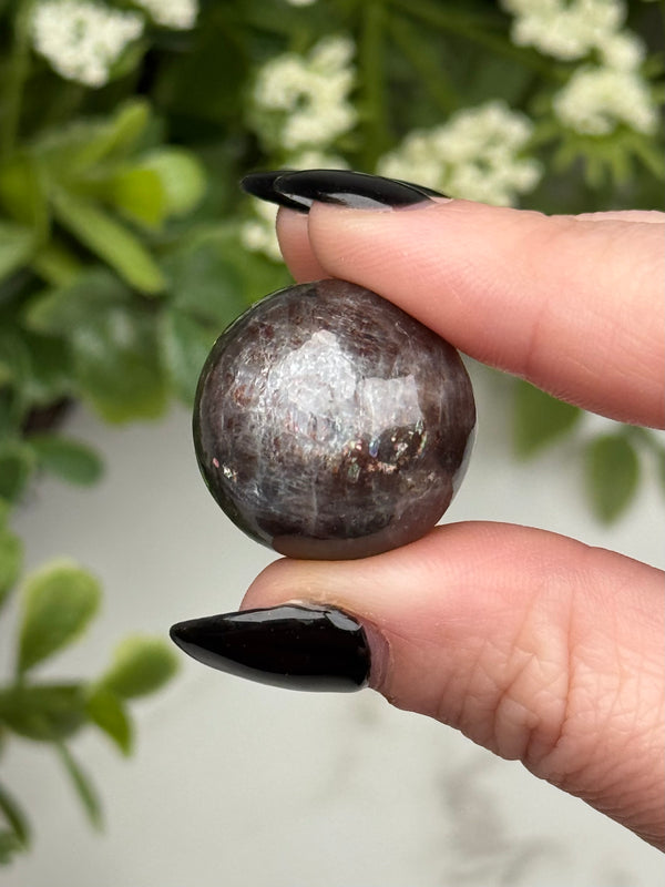 Black Moonstone with Sunstone Sphere - #5