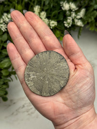 Pyrite Sun - #11