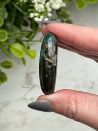 Blue Opalized Petrified Wood Palmstone - #14