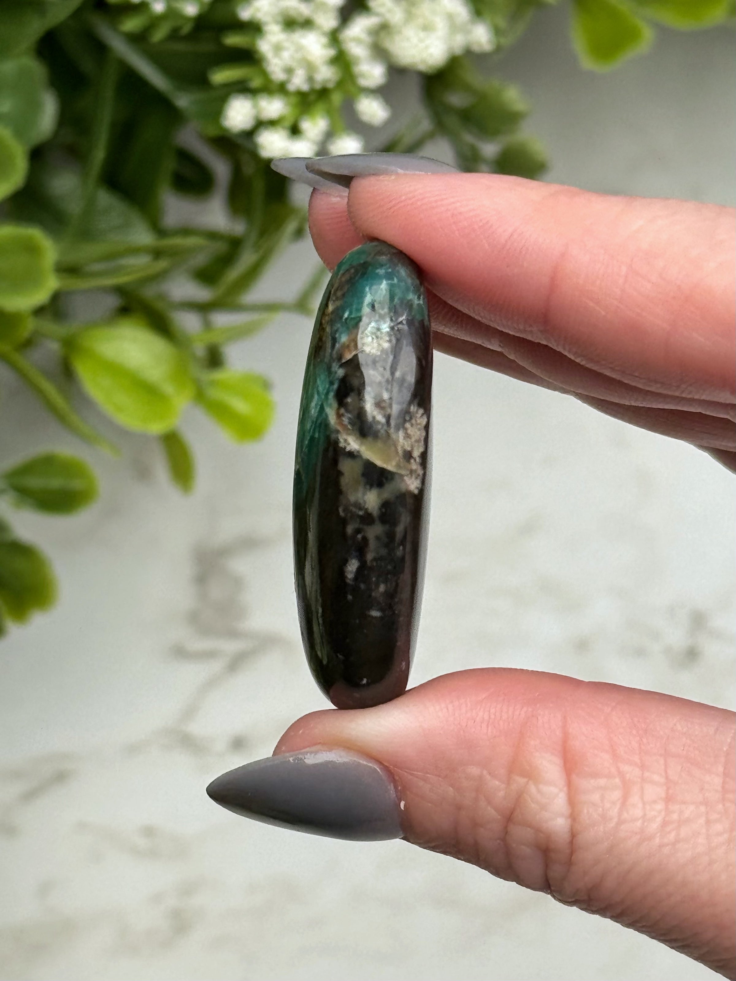 Blue Opalized Petrified Wood Palmstone - #14