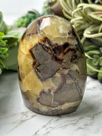 Septarian Freeform - #17