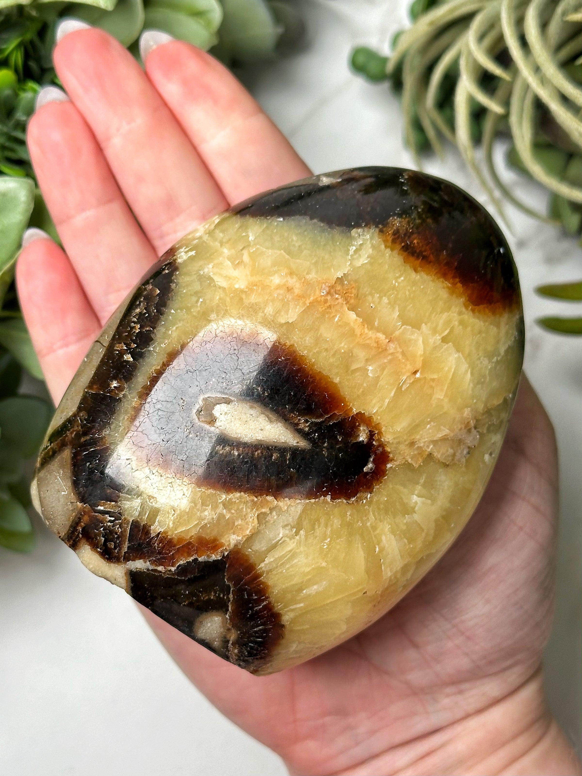 Septarian Freeform - #15