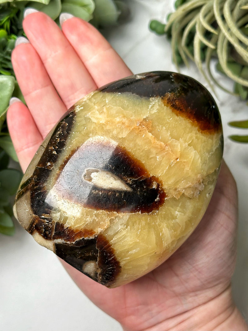 Septarian Freeform - #15