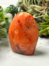 Carnelian Freeform - #19