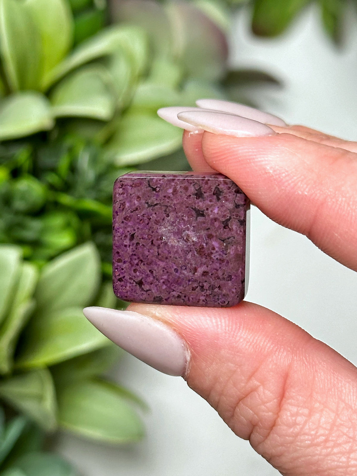 Sugilite Cabochon - #8
