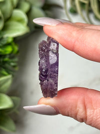 Ametrine Dragon - #3