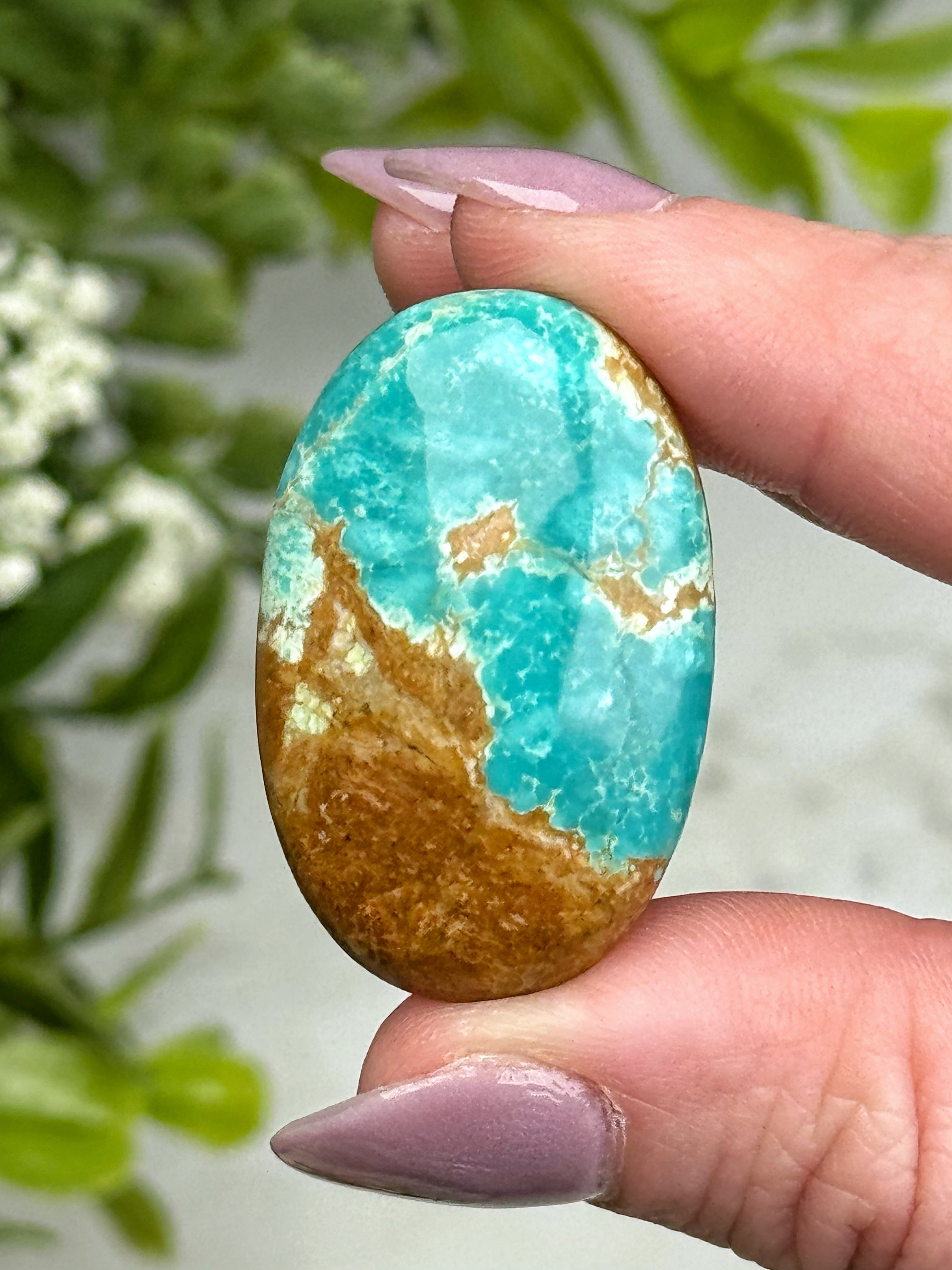 Turquoise Palmstone - #11