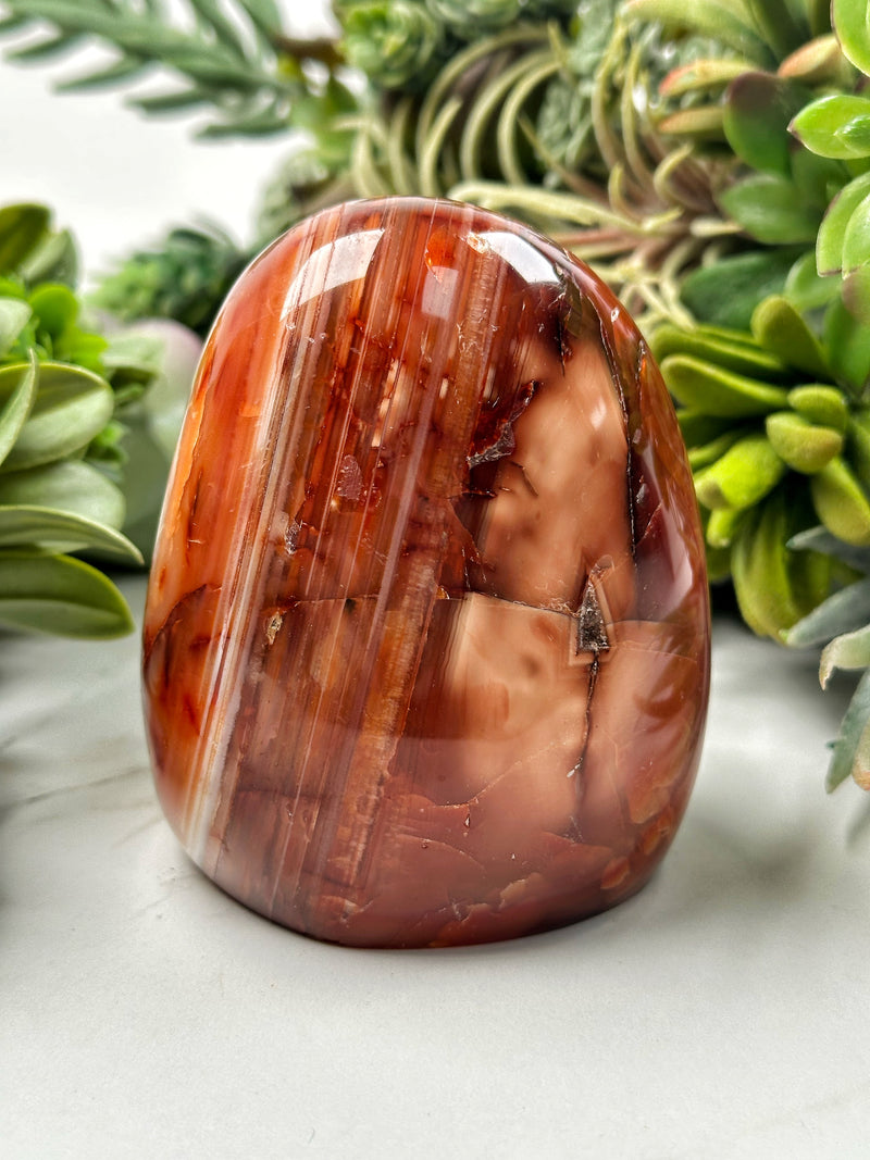 Carnelian Freeform - #13