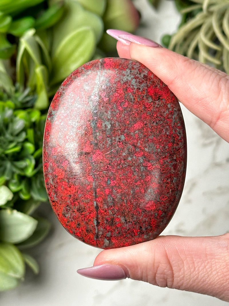 Sonora Sunrise Palmstone - #11
