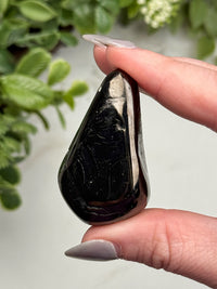 Elite Shungite Palmstone - #12