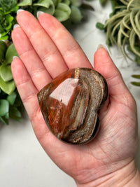 Petrified Wood Heart - #16