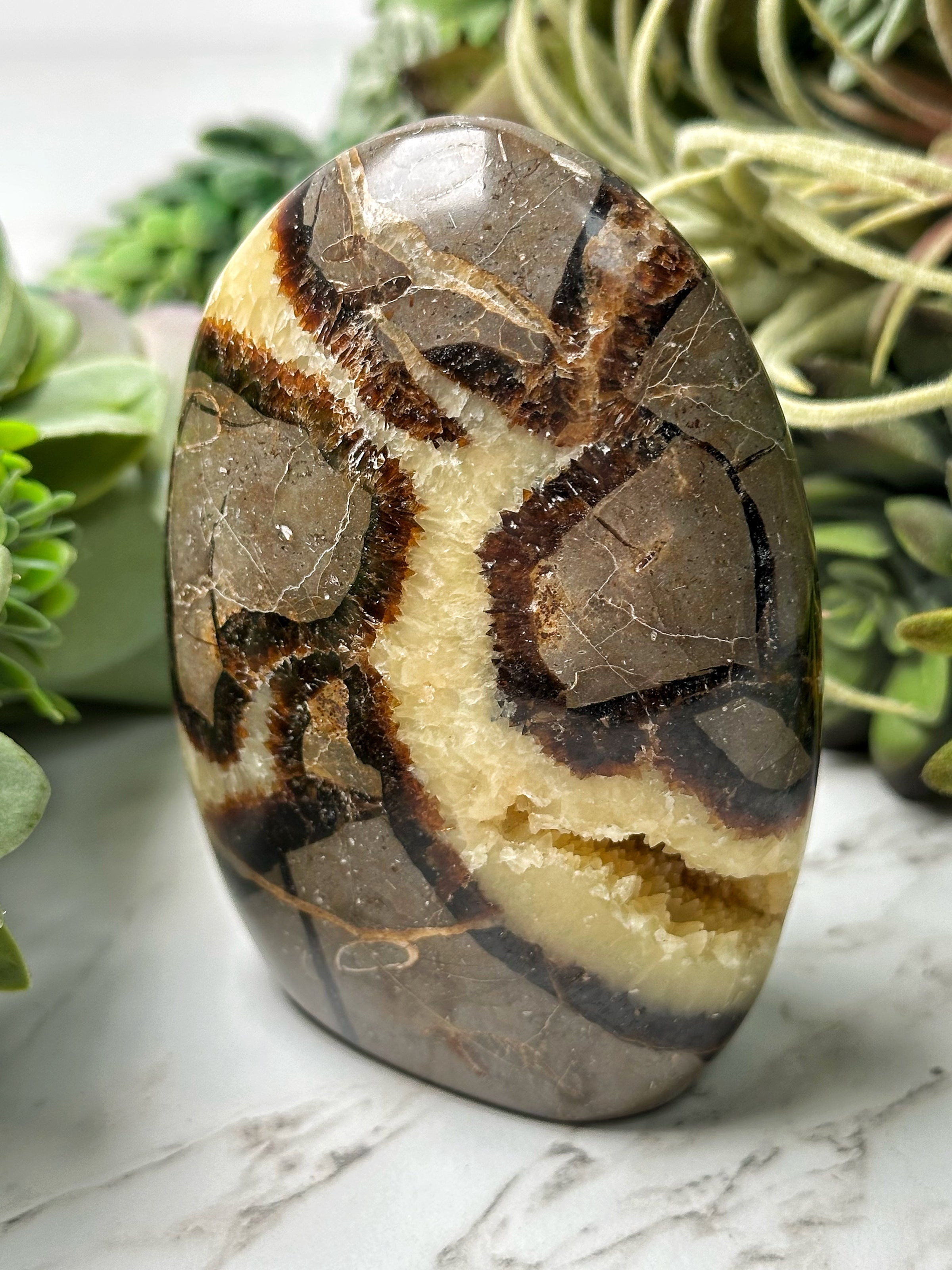 Septarian Freeform - #16