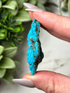 Turquoise Dragon - #1