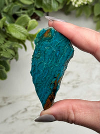 Chrysocolla Slab - #11