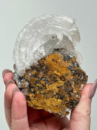 Selenite Ram's Horn - #1