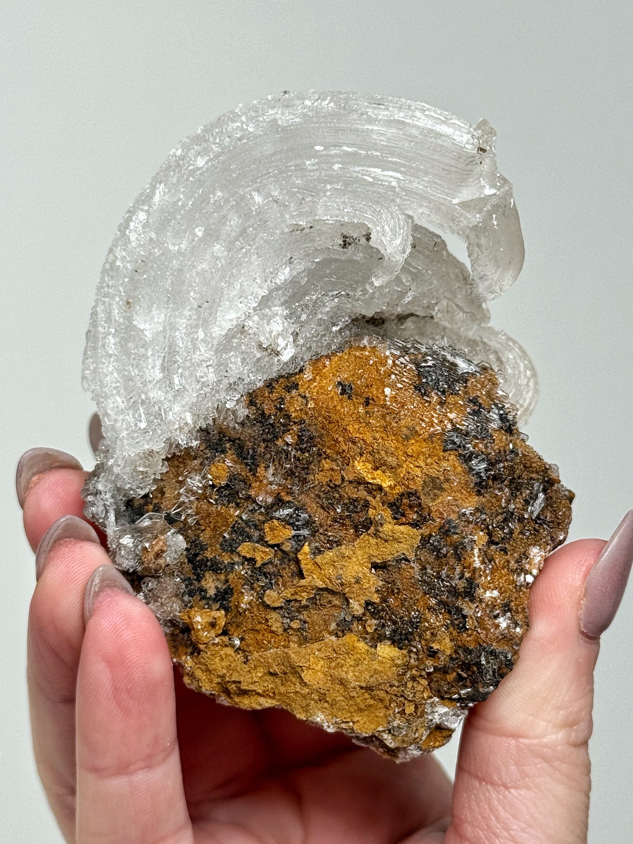 Selenite Ram's Horn - #1