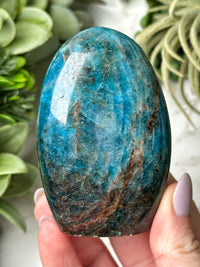 Blue Apatite Freeform - #12