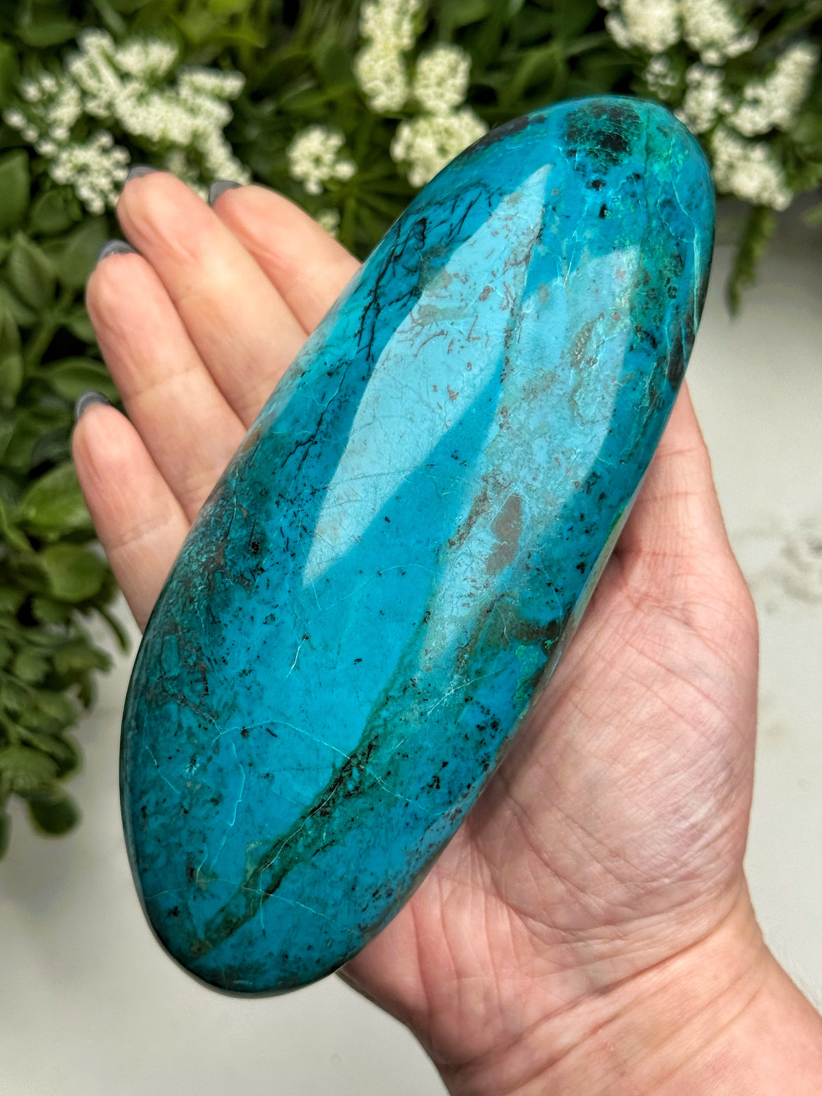 Chrysocolla Palmstone - #16