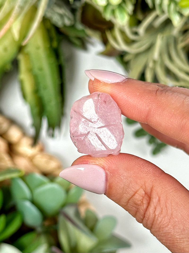 Morganite Mini Rose - #2