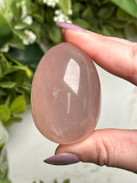 Star Rose Quartz Egg - #3