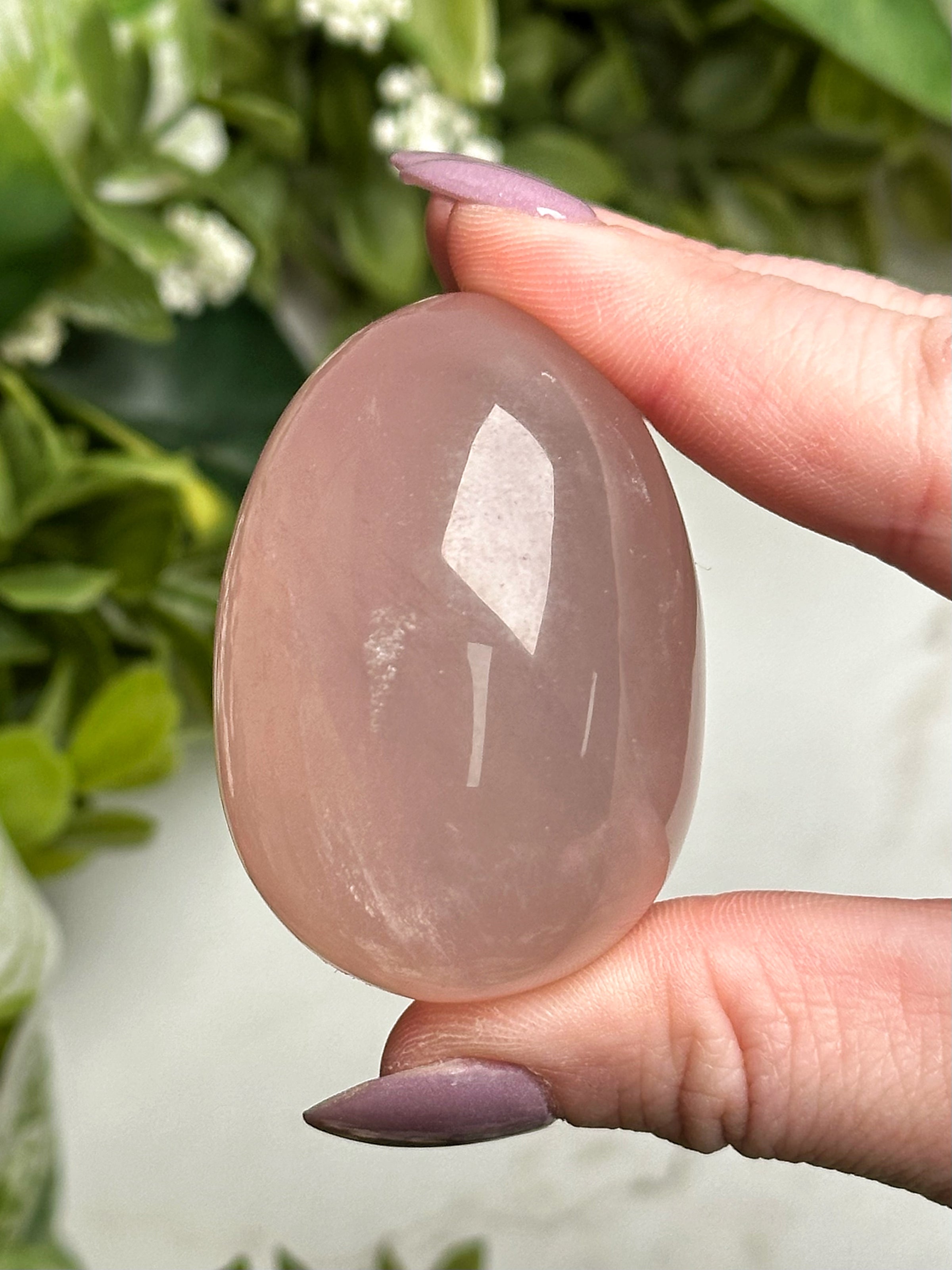 Star Rose Quartz Egg - #3