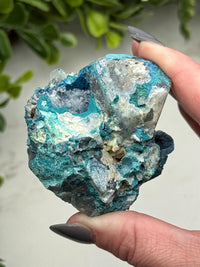 Shattuckite with Quartz - #13