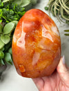 Carnelian Freeform - #12