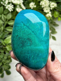 Chrysocolla Palmstone - #17