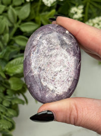 Gem Lepidolite Palmstone - #11