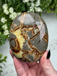 Septarian Palmstone - #2