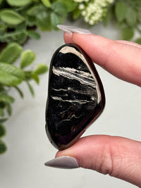 Elite Shungite Palmstone - #11