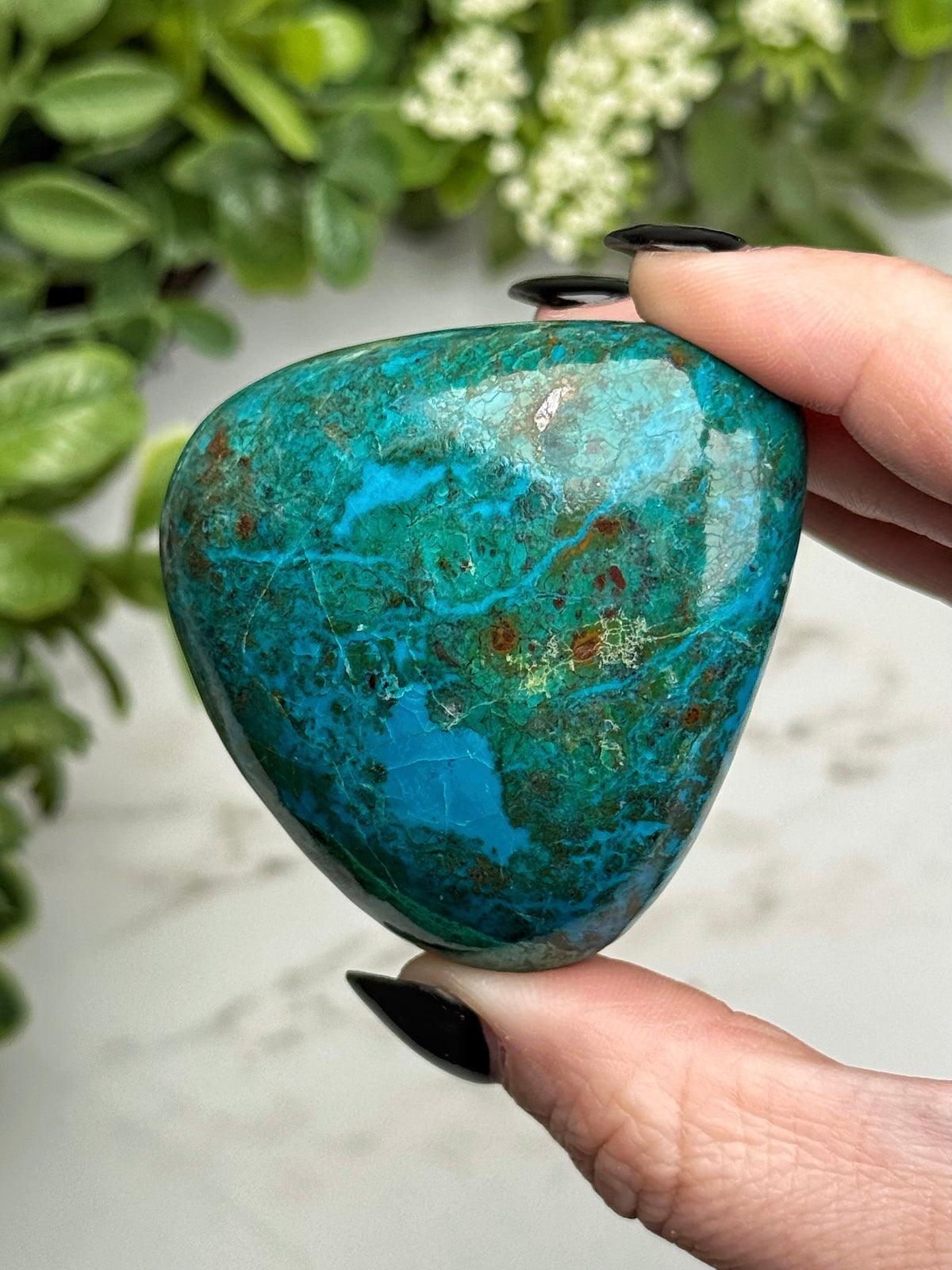 Chrysocolla Freeform - #21