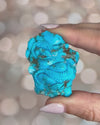 Turquoise Dragon - #1