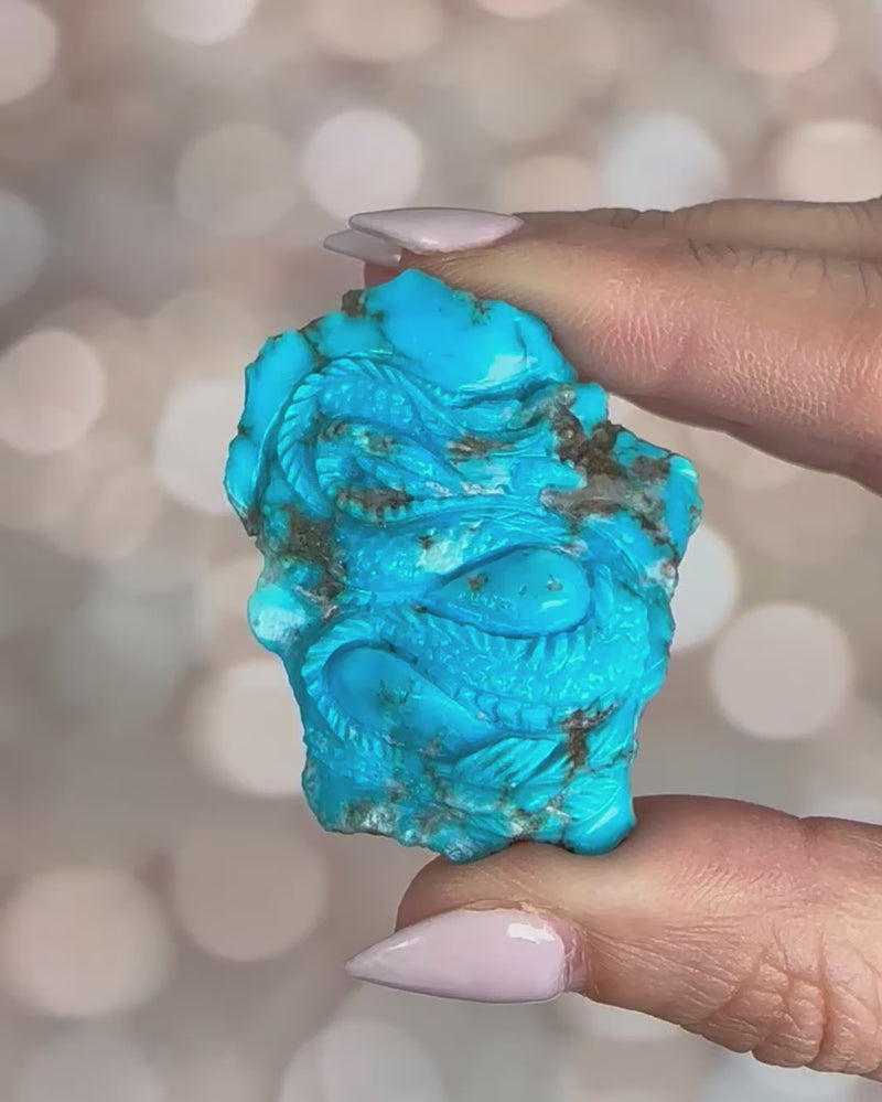Turquoise Dragon - #1